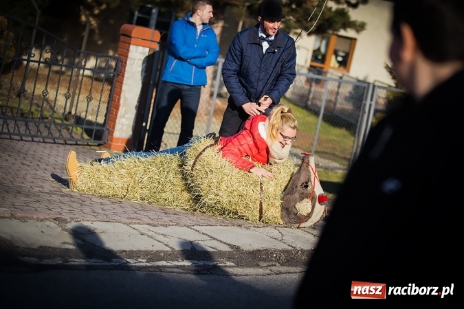 Zdjęcie w galerii na portalu naszraciborz.pl: Samborowicki tanzbär, czyli wesołe pożegnanie karnawału wiadomości z regionu