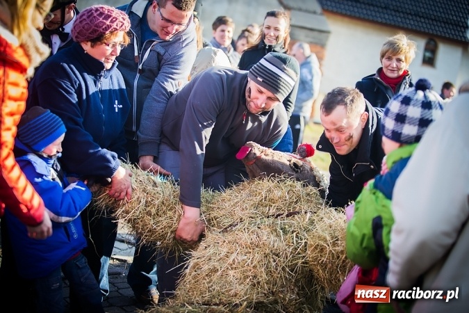 Zdjęcie w galerii na portalu naszraciborz.pl: Samborowicki tanzbär, czyli wesołe pożegnanie karnawału wiadomości z regionu