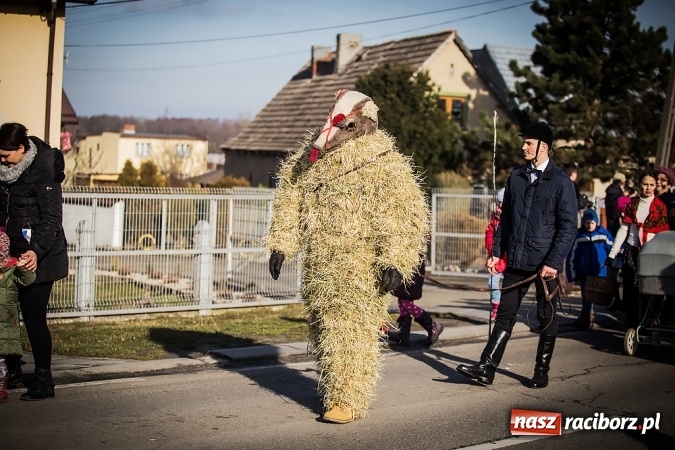 Zdjęcie w galerii na portalu naszraciborz.pl: Samborowicki tanzbär, czyli wesołe pożegnanie karnawału wiadomości z regionu
