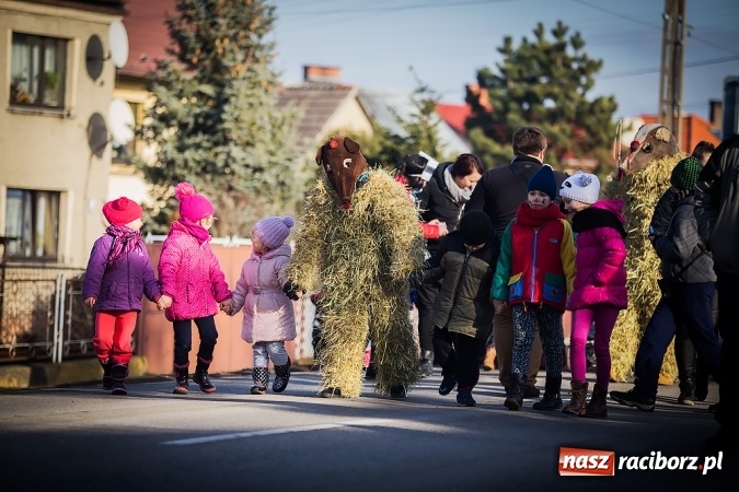Zdjęcie w galerii na portalu naszraciborz.pl: Samborowicki tanzbär, czyli wesołe pożegnanie karnawału wiadomości z regionu