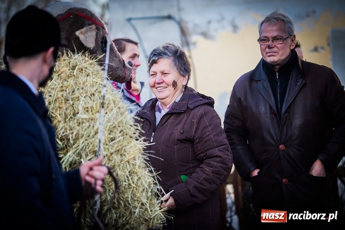 Zdjęcie w galerii na portalu naszraciborz.pl: Samborowicki tanzbär, czyli wesołe pożegnanie karnawału wiadomości z regionu