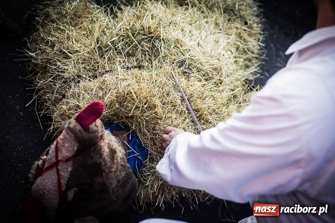 Zdjęcie w galerii na portalu naszraciborz.pl: Samborowicki tanzbär, czyli wesołe pożegnanie karnawału wiadomości z regionu