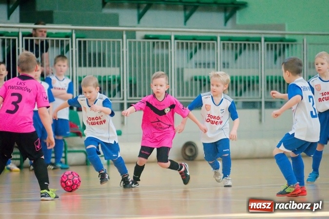 Zdjęcie w galerii na portalu naszraciborz.pl: Zimowa Liga Halowa: Emocjonujące starcia żaków w Arenie Rafako wiadomości z regionu