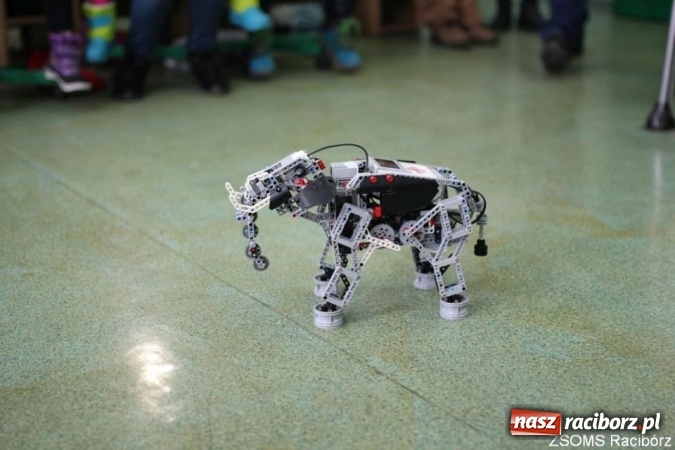 Zdjęcie w galerii na portalu naszraciborz.pl: Zajęcia artystyczne, naukowe i sportowe, czyli ferie w SMS-ie! wiadomości z regionu