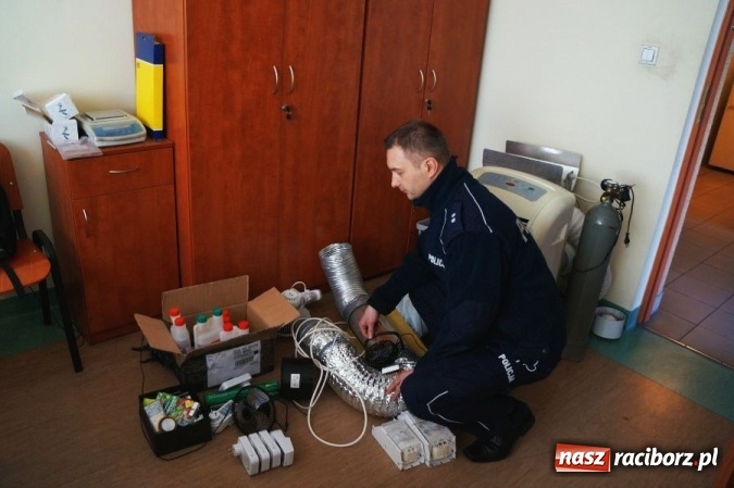 Zdjęcie w galerii na portalu naszraciborz.pl: 21-latek z Kornowaca stanie przed sądem. Uprawiał konopie indyjskie wiadomości z regionu