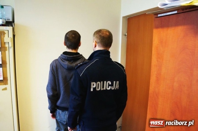 Zdjęcie w galerii na portalu naszraciborz.pl: 21-latek z Kornowaca stanie przed sądem. Uprawiał konopie indyjskie wiadomości z regionu