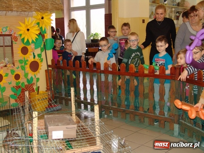 Zdjęcie w galerii na portalu naszraciborz.pl: Najstarsze przedszkolaki znów w progach SP18 wiadomości z regionu