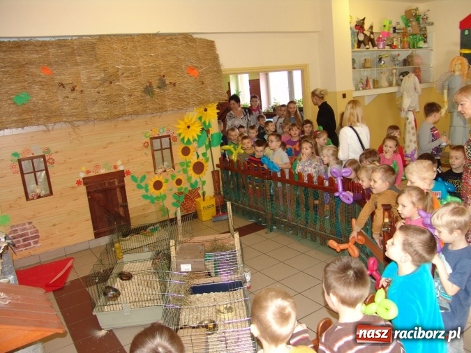 Zdjęcie w galerii na portalu naszraciborz.pl: Najstarsze przedszkolaki znów w progach SP18 wiadomości z regionu