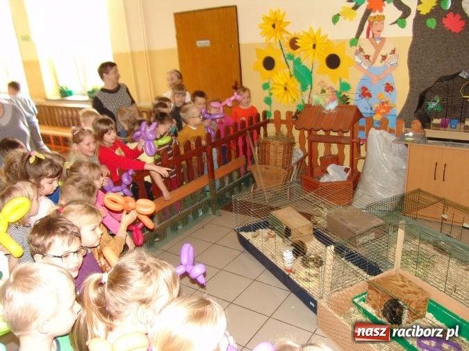 Zdjęcie w galerii na portalu naszraciborz.pl: Najstarsze przedszkolaki znów w progach SP18 wiadomości z regionu