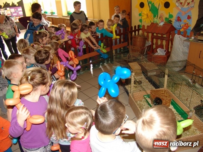Zdjęcie w galerii na portalu naszraciborz.pl: Najstarsze przedszkolaki znów w progach SP18 wiadomości z regionu