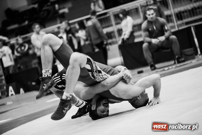 Zdjęcie w galerii na portalu naszraciborz.pl: Puchar Polski Seniorów w zapasach w stylu klasycznym w Arenie Rafako wiadomości z regionu