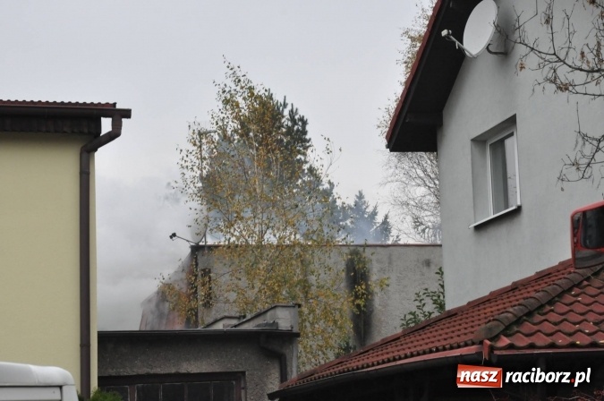 Zdjęcie w galerii na portalu naszraciborz.pl: Zabójstwo przy Skłodowskiej. Pieniądze powodem rodzinnej tragedii? wiadomości z regionu