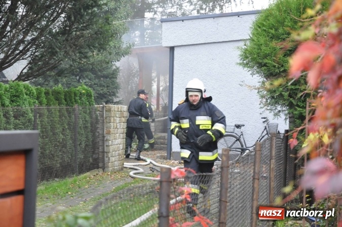 Zdjęcie w galerii na portalu naszraciborz.pl: Zabójstwo przy Skłodowskiej. Pieniądze powodem rodzinnej tragedii? wiadomości z regionu