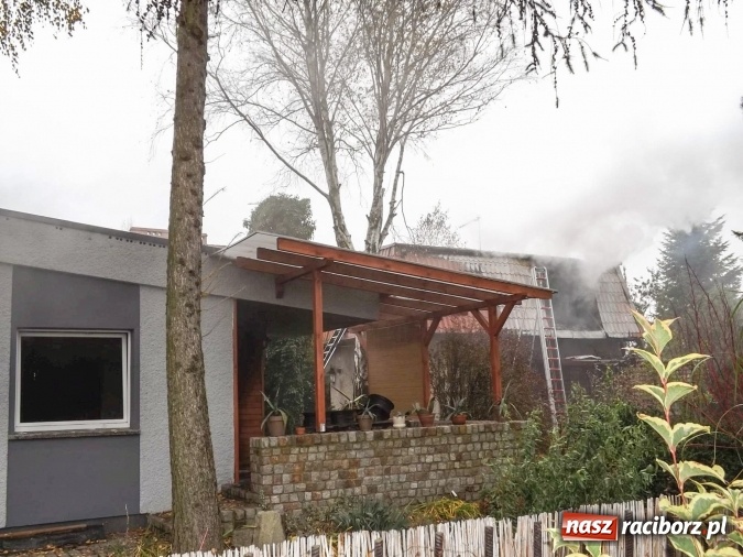 Zdjęcie w galerii na portalu naszraciborz.pl: Zabójstwo przy Skłodowskiej. Pieniądze powodem rodzinnej tragedii? wiadomości z regionu