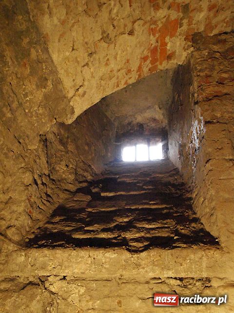 Zdjęcie w galerii na portalu naszraciborz.pl: Zamek odkrywa kolejne TAJEMNICE wiadomości z regionu