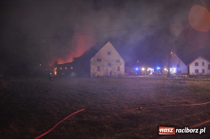 Zdjęcie w galerii na portalu naszraciborz.pl: Policja zatrzymała 24-latka, który spowodował pożar w Miedoni wiadomości z regionu