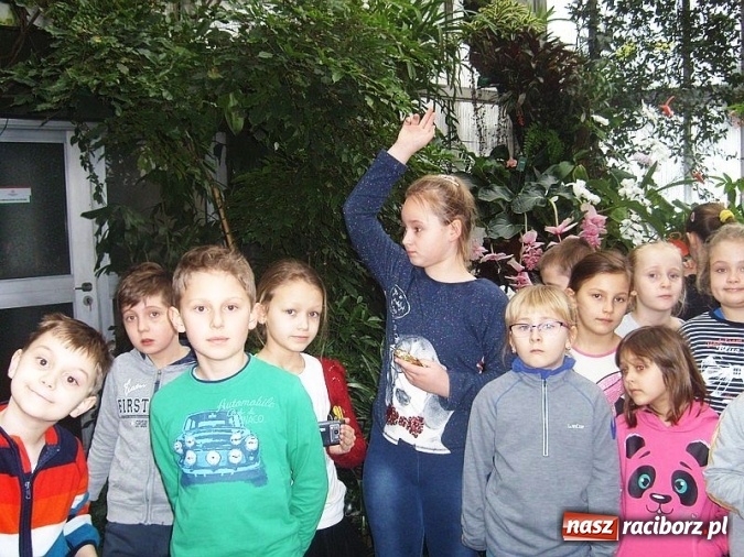 Zdjęcie w galerii na portalu naszraciborz.pl: Ferie z Klubem M-5 - minął pierwszy tydzień p&oacute;łkolonii zimowych wiadomości z regionu