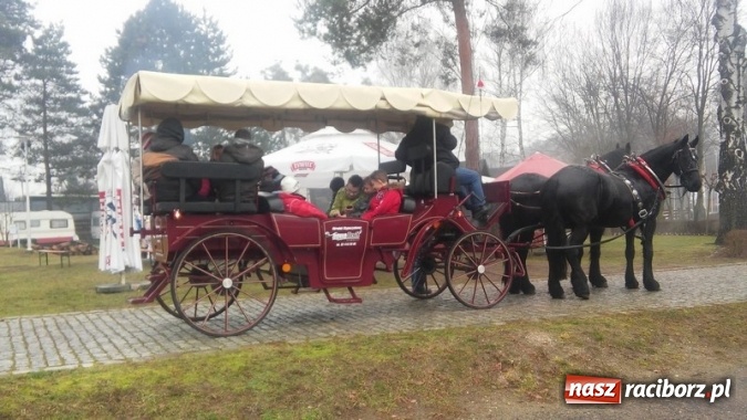 Zdjęcie w galerii na portalu naszraciborz.pl: Ferie z Klubem M-5 - minął pierwszy tydzień p&oacute;łkolonii zimowych wiadomości z regionu