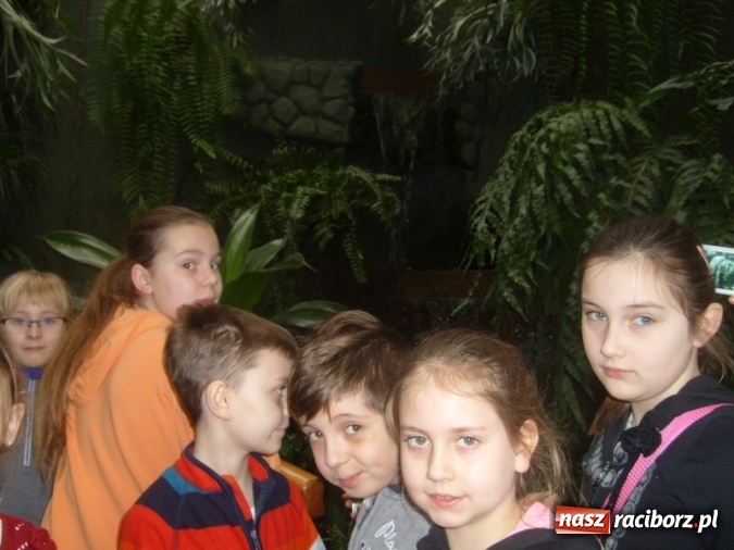 Zdjęcie w galerii na portalu naszraciborz.pl: Ferie z Klubem M-5 - minął pierwszy tydzień p&oacute;łkolonii zimowych wiadomości z regionu