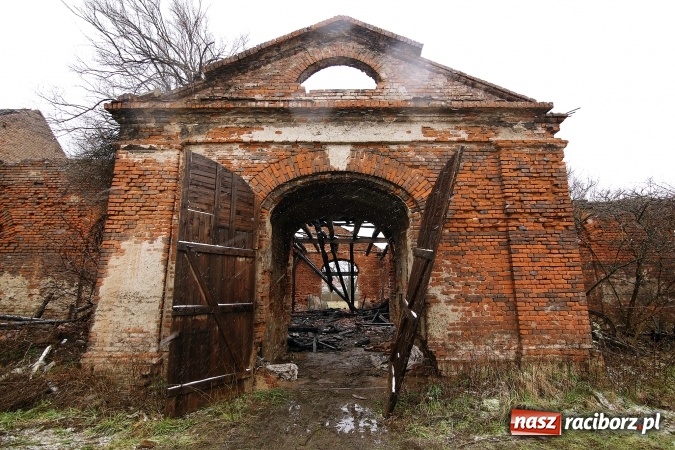 Zdjęcie w galerii na portalu naszraciborz.pl: Te filmiki robią wrażenie! Początkowa faza ogromnego pożaru w Raciborzu-Miedoni! wiadomości z regionu