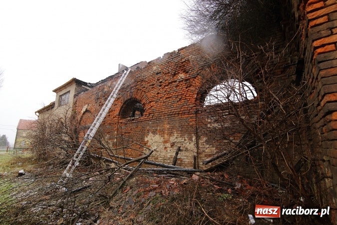 Zdjęcie w galerii na portalu naszraciborz.pl: Te filmiki robią wrażenie! Początkowa faza ogromnego pożaru w Raciborzu-Miedoni! wiadomości z regionu