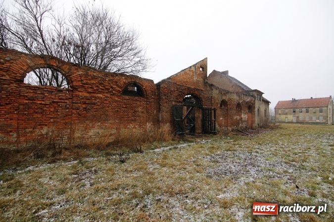 Zdjęcie w galerii na portalu naszraciborz.pl: Te filmiki robią wrażenie! Początkowa faza ogromnego pożaru w Raciborzu-Miedoni! wiadomości z regionu