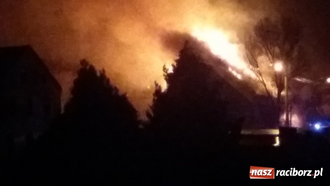 Zdjęcie w galerii na portalu naszraciborz.pl: Te filmiki robią wrażenie! Początkowa faza ogromnego pożaru w Raciborzu-Miedoni! wiadomości z regionu