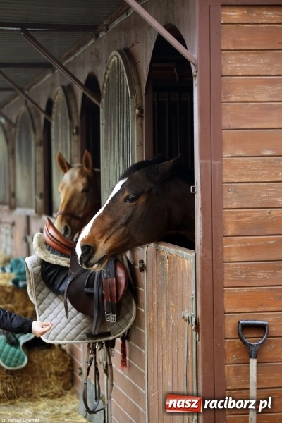 Zdjęcie w galerii na portalu naszraciborz.pl: Ferie w siodle w Szymocicach - fotoreportaż wiadomości z regionu