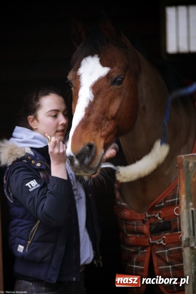 Zdjęcie w galerii na portalu naszraciborz.pl: Ferie w siodle w Szymocicach - fotoreportaż wiadomości z regionu