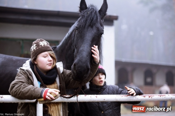 Zdjęcie w galerii na portalu naszraciborz.pl: Ferie w siodle w Szymocicach - fotoreportaż wiadomości z regionu