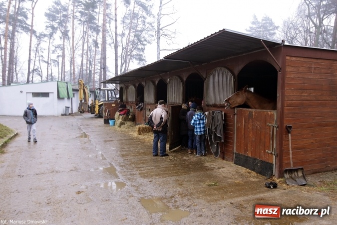 Zdjęcie w galerii na portalu naszraciborz.pl: Ferie w siodle w Szymocicach - fotoreportaż wiadomości z regionu