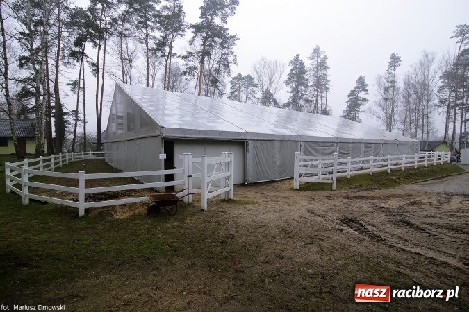 Zdjęcie w galerii na portalu naszraciborz.pl: Ferie w siodle w Szymocicach - fotoreportaż wiadomości z regionu