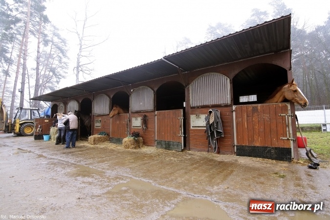 Zdjęcie w galerii na portalu naszraciborz.pl: Ferie w siodle w Szymocicach - fotoreportaż wiadomości z regionu