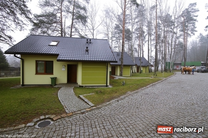 Zdjęcie w galerii na portalu naszraciborz.pl: Ferie w siodle w Szymocicach - fotoreportaż wiadomości z regionu