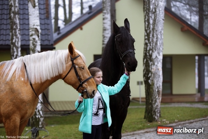 Zdjęcie w galerii na portalu naszraciborz.pl: Ferie w siodle w Szymocicach - fotoreportaż wiadomości z regionu