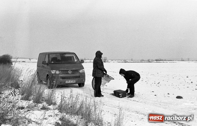 Zdjęcie w galerii na portalu naszraciborz.pl: Wokalista Raz, Dwa, Trzy śpiewa piosenkę raciborzanina  wiadomości z regionu