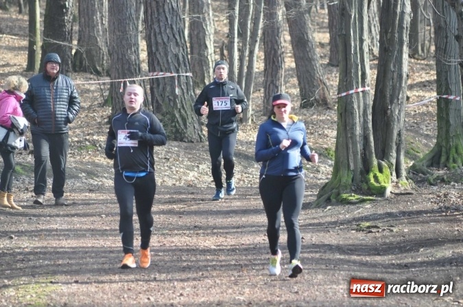 Zdjęcie w galerii na portalu naszraciborz.pl: Raciborzanie Tomasz Marcinek i Anna Szyjka wygrali V Bieg Twardziela wiadomości z regionu
