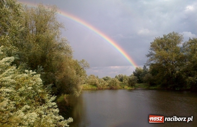 Zdjęcie w galerii na portalu naszraciborz.pl: Wędkujesz? Sprawdź, jakie zawody odbędą się w Łęgu  wiadomości z regionu
