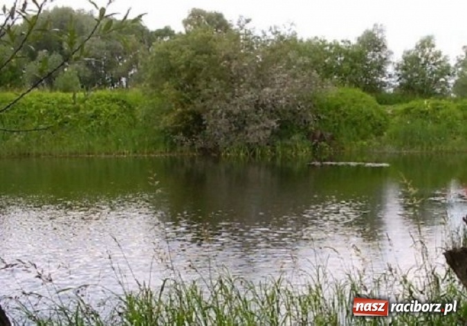 Zdjęcie w galerii na portalu naszraciborz.pl: Wędkujesz? Sprawdź, jakie zawody odbędą się w Łęgu  wiadomości z regionu