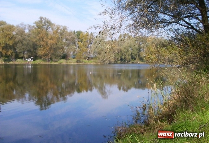 Zdjęcie w galerii na portalu naszraciborz.pl: Wędkujesz? Sprawdź, jakie zawody odbędą się w Łęgu  wiadomości z regionu