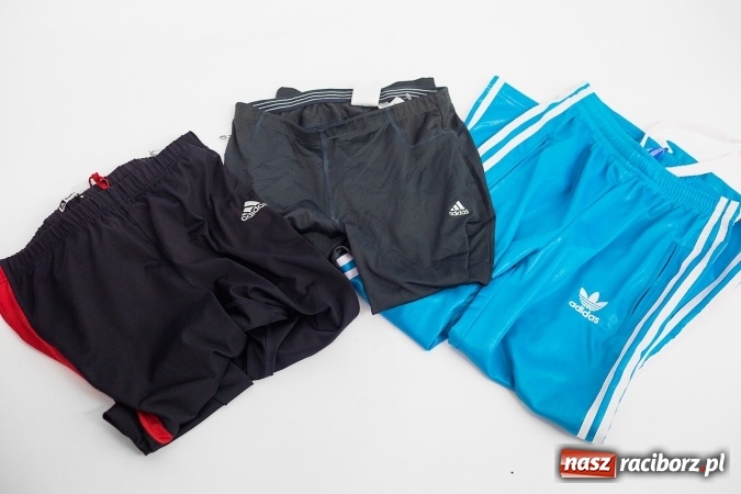 Zdjęcie w galerii na portalu naszraciborz.pl: Wiosna, wiosna ach to ty - wiosenne nocne szperanie w Robanie wiadomości z regionu