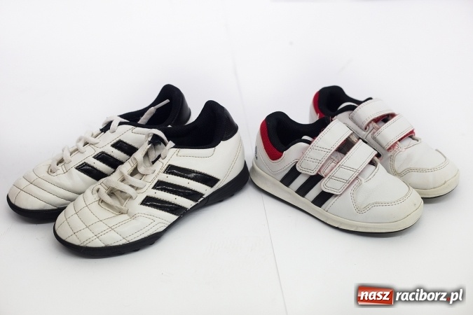 Zdjęcie w galerii na portalu naszraciborz.pl: Wiosna, wiosna ach to ty - wiosenne nocne szperanie w Robanie wiadomości z regionu