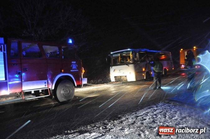 Zdjęcie w galerii na portalu naszraciborz.pl: Zderzenie dwóch ciężarówek na DK 45. Autobus nad skarpą FOTO I WIDEO wiadomości z regionu