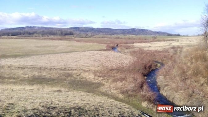 Zdjęcie w galerii na portalu naszraciborz.pl: Harcerze Raciborskiego Środowiska Związku Harcerstwa Rzeczypospolitej na zimowisku w Pokrzywnej wiadomości z regionu