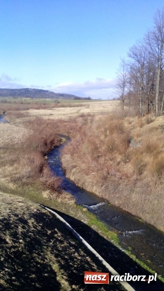 Zdjęcie w galerii na portalu naszraciborz.pl: Harcerze Raciborskiego Środowiska Związku Harcerstwa Rzeczypospolitej na zimowisku w Pokrzywnej wiadomości z regionu