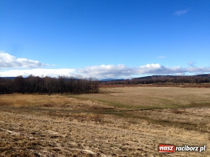 Zdjęcie w galerii na portalu naszraciborz.pl: Harcerze Raciborskiego Środowiska Związku Harcerstwa Rzeczypospolitej na zimowisku w Pokrzywnej wiadomości z regionu