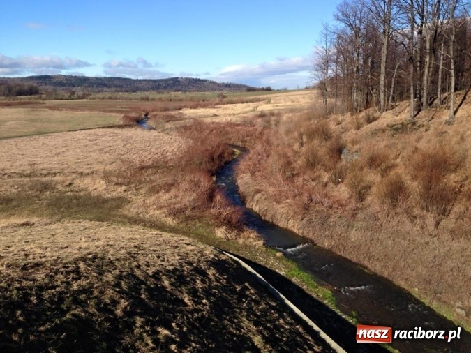 Zdjęcie w galerii na portalu naszraciborz.pl: Harcerze Raciborskiego Środowiska Związku Harcerstwa Rzeczypospolitej na zimowisku w Pokrzywnej wiadomości z regionu