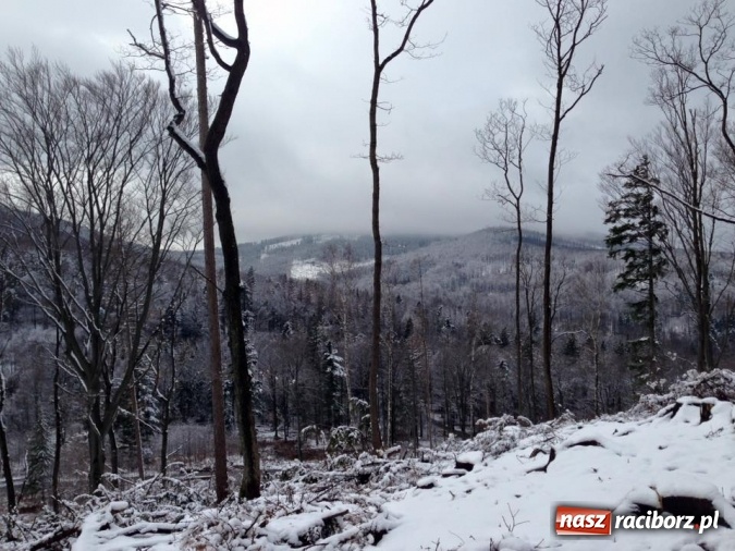 Zdjęcie w galerii na portalu naszraciborz.pl: Harcerze Raciborskiego Środowiska Związku Harcerstwa Rzeczypospolitej na zimowisku w Pokrzywnej wiadomości z regionu