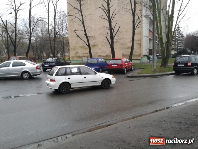 Zdjęcie w galerii na portalu naszraciborz.pl: Racibórz miszczami bogaty... Tym razem na parkingu na Żorskiej wiadomości z regionu