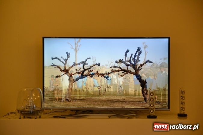 Zdjęcie w galerii na portalu naszraciborz.pl: Prawa człowieka dostrzegam - na zamku otwarto nową wystawę wiadomości z regionu